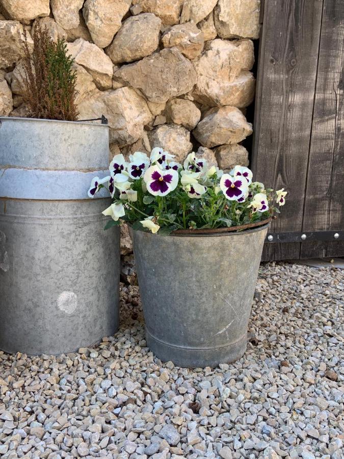 La Bergerie De Cigalon Bed & Breakfast Mouries Exterior photo